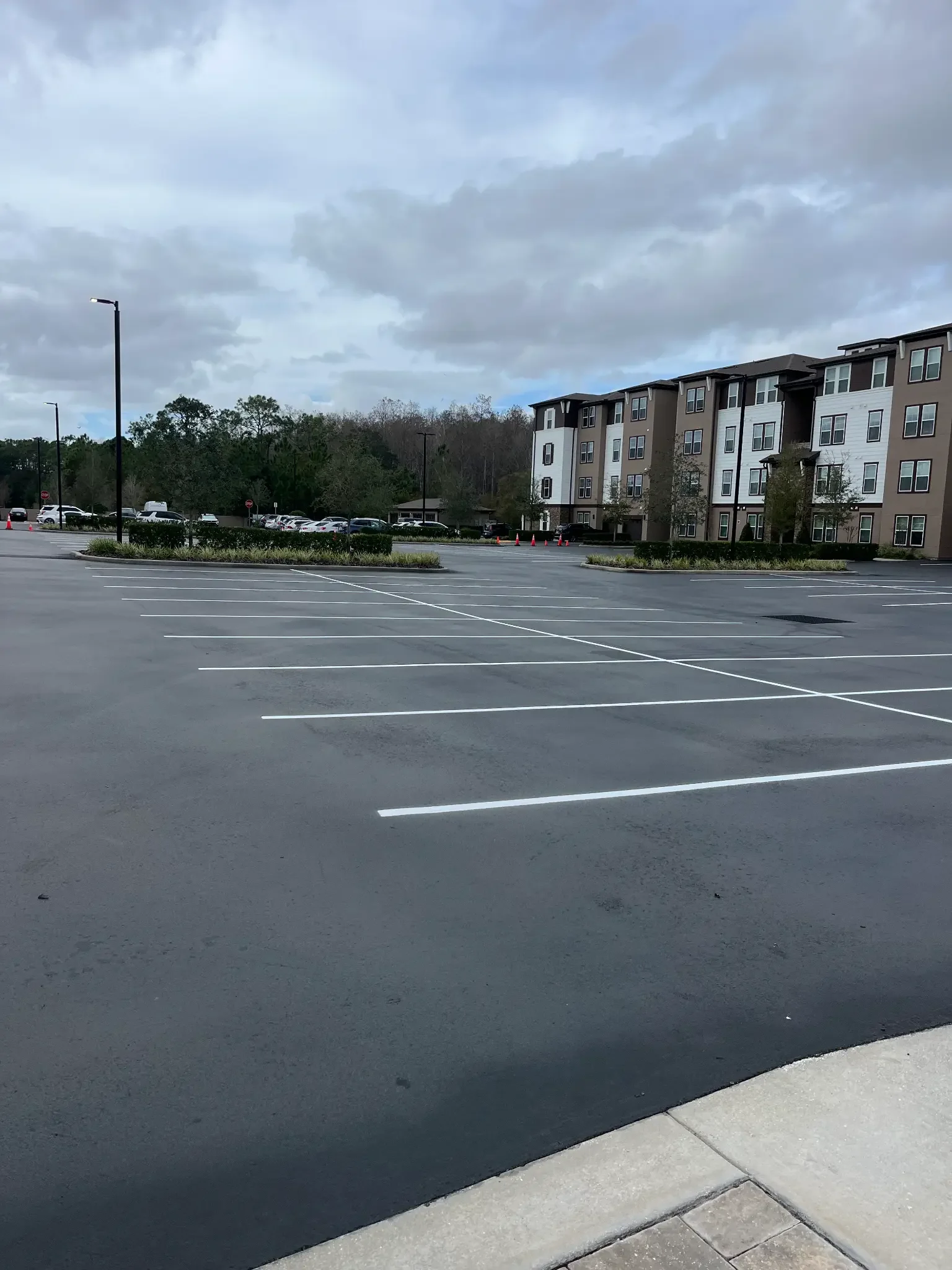 Freshly sealcoated and striped commercial parking lot